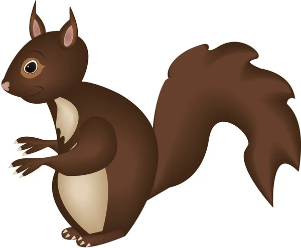 Illustration of a brown squirrel. — Stock Vector