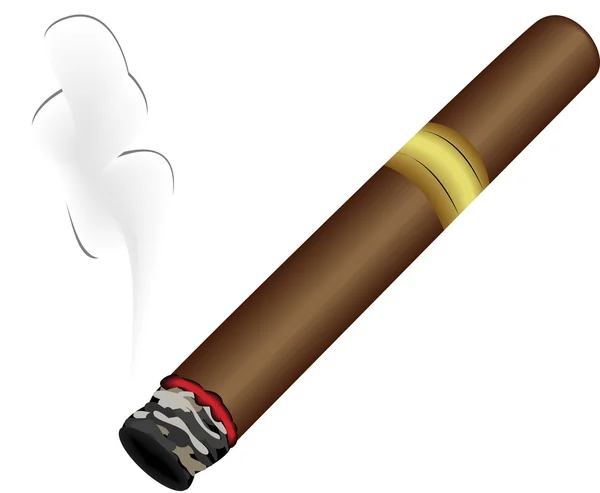 Vector image of cigar — Stock Vector