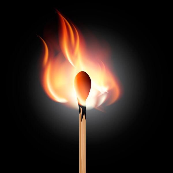 burning matchstick vector