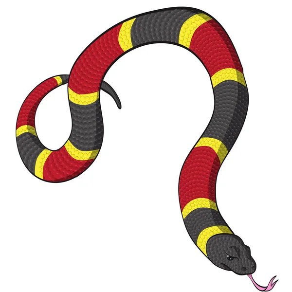 Vector de serpiente de coral — Archivo Imágenes Vectoriales