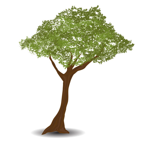 vector tree clipart illustration