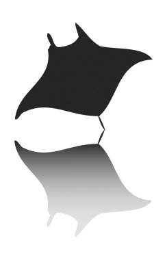 Balinalar yunuslar, köpekbalıkları ve balık vektör