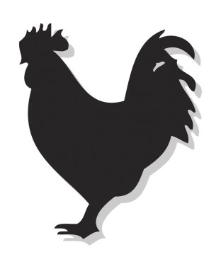 yerli tavuk clipart illüstrasyon