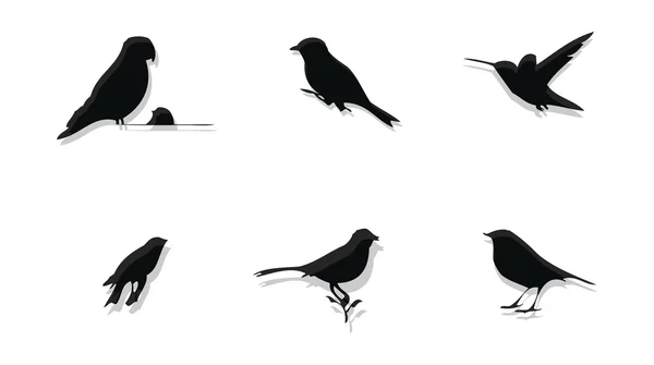 Векторное изменение силуэтов птиц — стоковый вектор