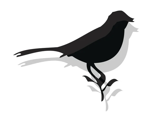 Векторное изменение силуэтов птиц — стоковый вектор