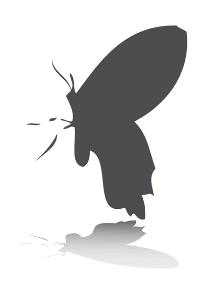 Vector butterflies silhouettes — Stock Vector