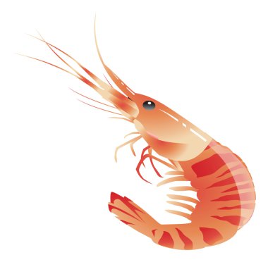 Gıda simgeler clipart illüstrasyon