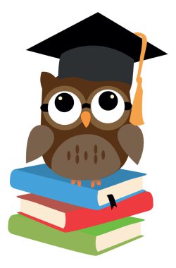 Bilge Baykuş bir çizimi