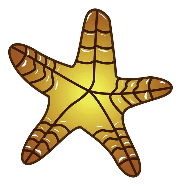 Sea Starfish vector — Stock Vector