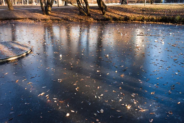 La première glace sur l'étang — Photo