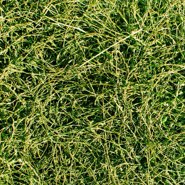 Zöld fű szerkezete — Stock Fotó