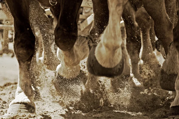 Hästkrafter i aktion (Sepia) — Stockfoto