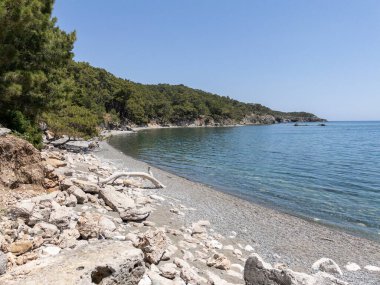 Güneşli bir günde, deniz kıyısında vahşi bir sahil.