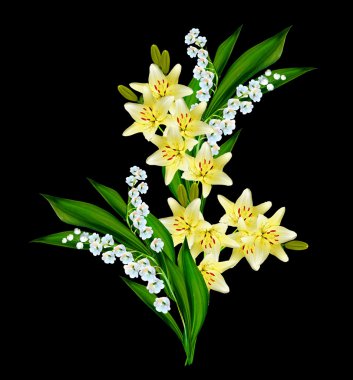 Siyah arka plan üzerine izole çiçek lily.