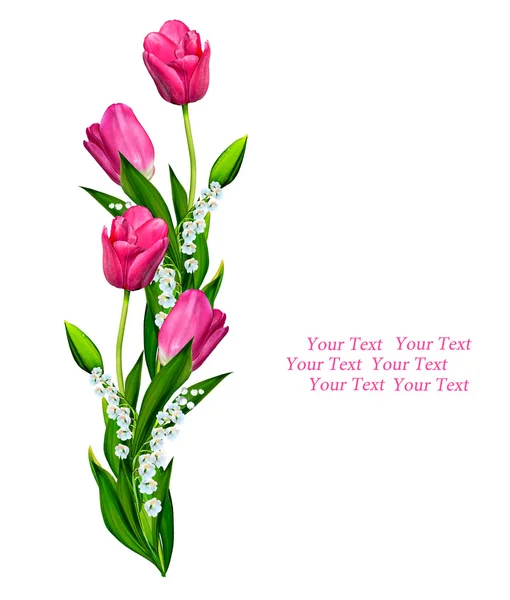 Tavaszi virágok tulipán elszigetelt fehér háttér. — Stock Fotó