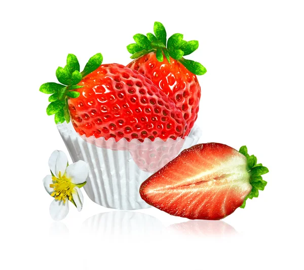 Zweig der Erdbeeren isoliert auf weißem Hintergrund — Stockfoto