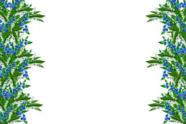 çiçek renkli fakirler izole beyaz arka plan üzerinde.