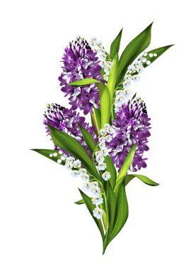 Beyaz arka plan üzerinde izole sümbül