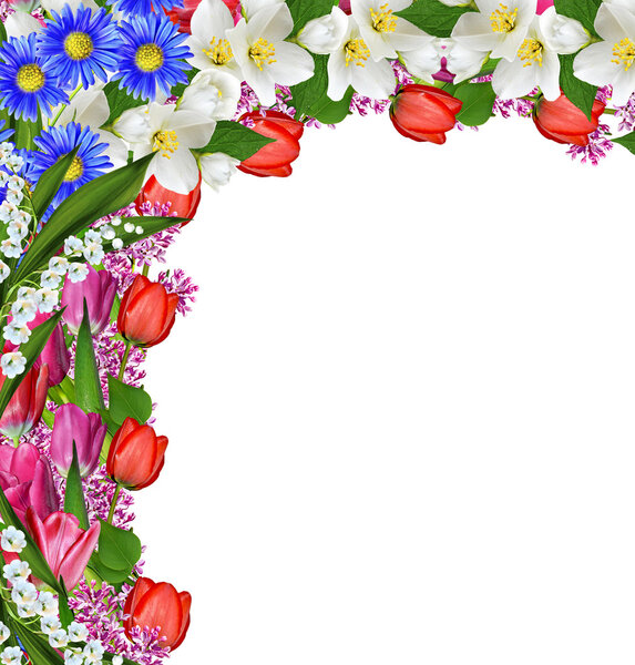 цветы тюльпаны и сирень. Жасмин
