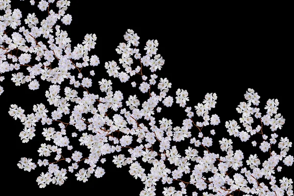 Zweig weißer Apfelblüten — Stockfoto