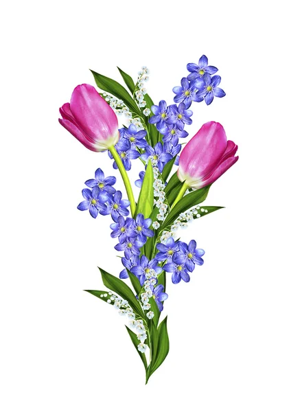 Frühling Blumen Tulpen isoliert auf weißem Hintergrund — Stockfoto