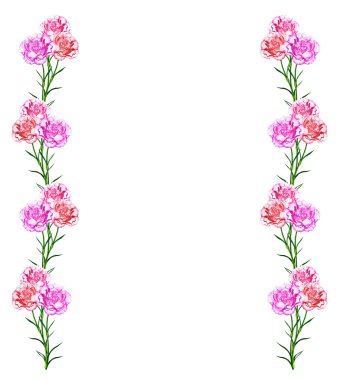 çiçekler karanfil buketi.