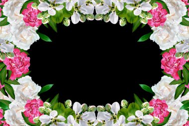 Beyaz elma çiçekleri dalı 