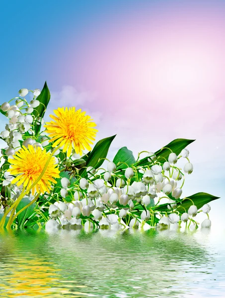 Flores lírio do vale e céu azul com nuvens — Fotografia de Stock