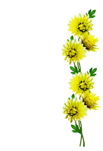 Bukett av blommor krysantemum — Stockfoto