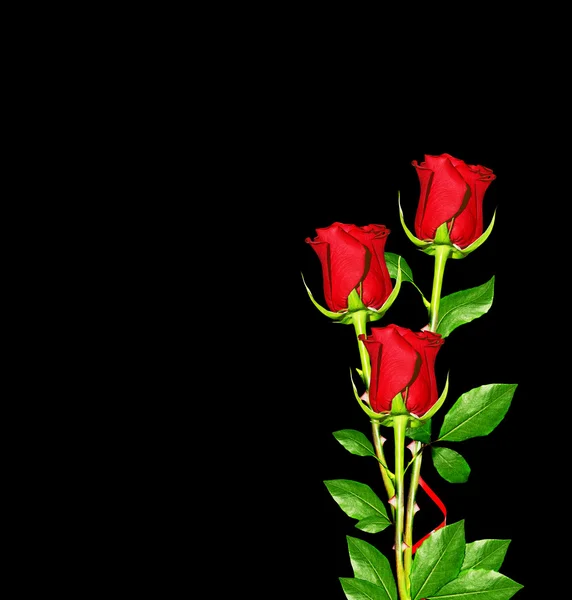 De toppen van bloemen rozen. — Stockfoto