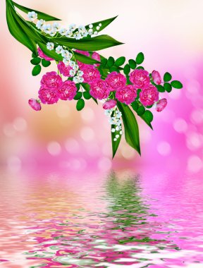  Hassas yabani gül Bahçe çiçek