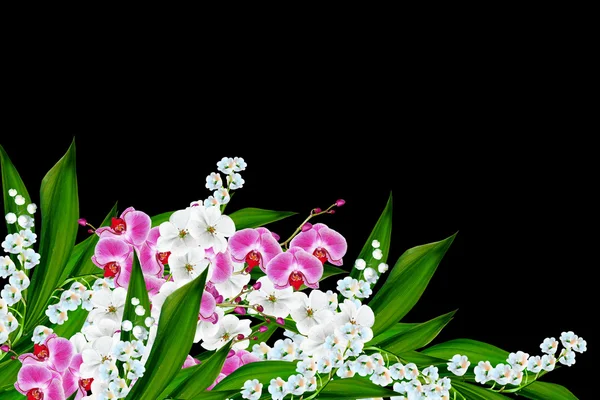 Lírio de flores do vale — Fotografia de Stock