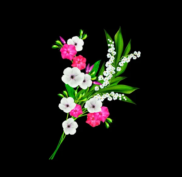 İzole renkli kır çiçekleri — Stok fotoğraf