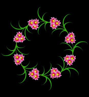 Siyah arka plan üzerine izole çiçekler.