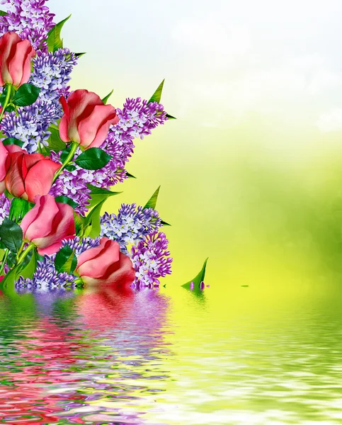 Die Knospen der Blumen Rosen. — Stockfoto