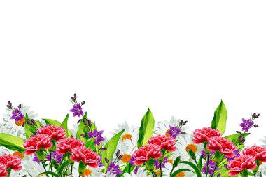 Beyaz arka planda izole edilmiş papatyalar.. 