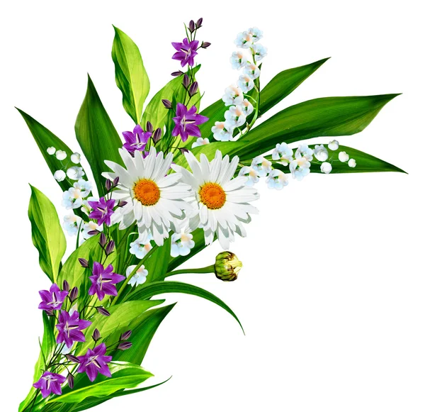 Flowers lily of the valley — Stock Photo, Image