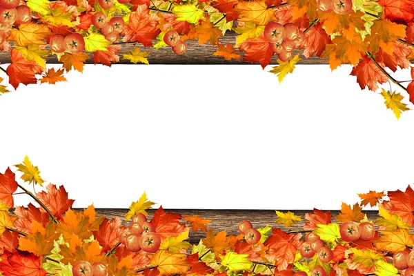 Abstracte achtergrond van herfstbladeren — Stockfoto