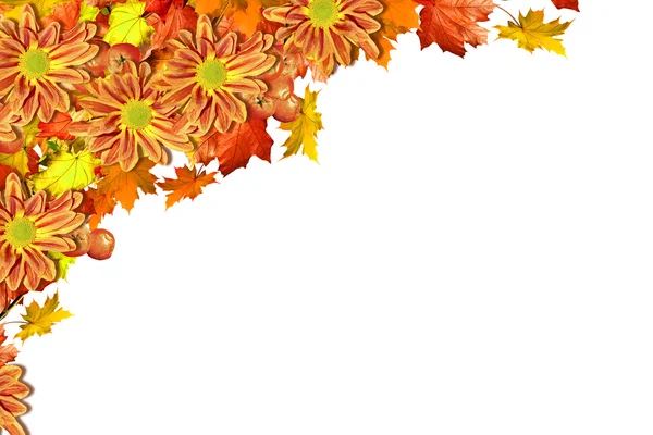 Az őszi levelek elvont háttere — Stock Fotó