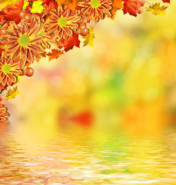 Абстрактный фон осенних листьев — стоковое фото