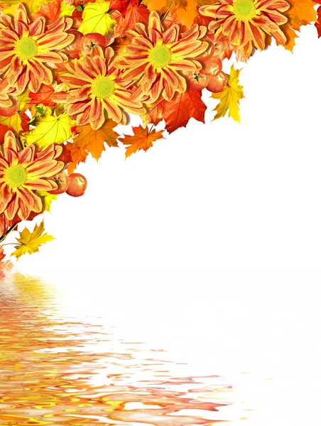 Fondo abstracto de hojas de otoño — Foto de Stock
