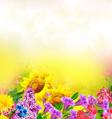 Çok güzel çiçekler renkli.