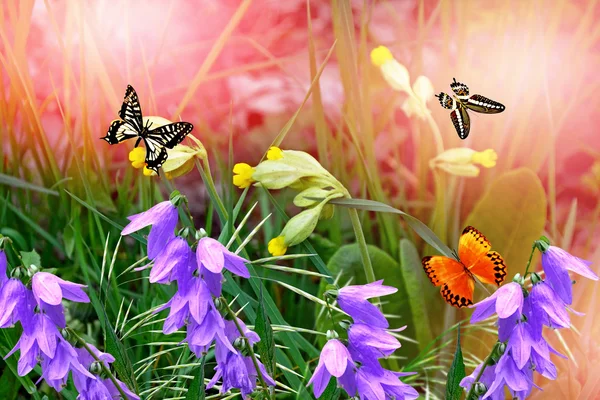 Bloemen op een achtergrond van het landschap van de lente. — Stockfoto