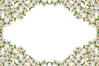 Beyaz arka plan üzerinde izole meyve ağaçlarının dalları