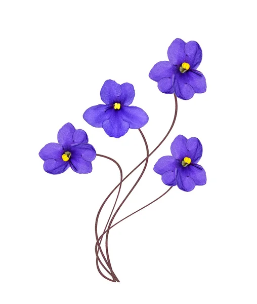 Bouquet di fiori colorati di viola . — Foto Stock