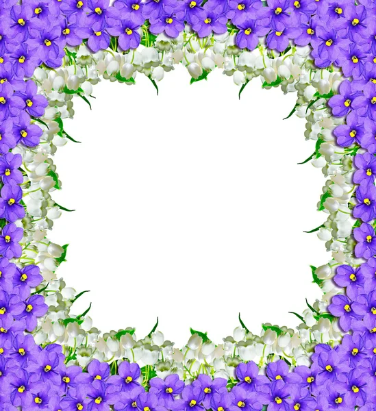 Нежные цветы на белом фоне — стоковое фото