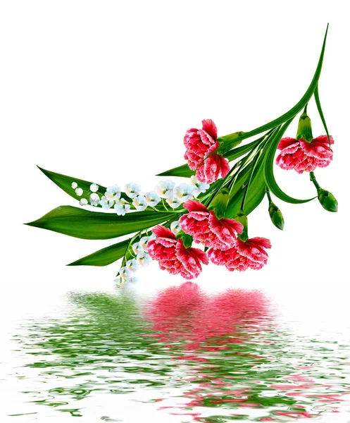 꽃 카네이션의 꽃다발. — 스톡 사진