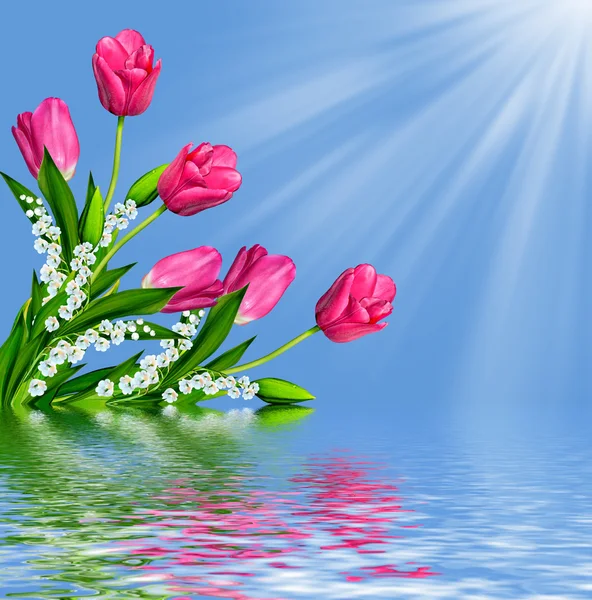 Flowers tulips on a background of blue sky with clouds. — Stock Photo, Image