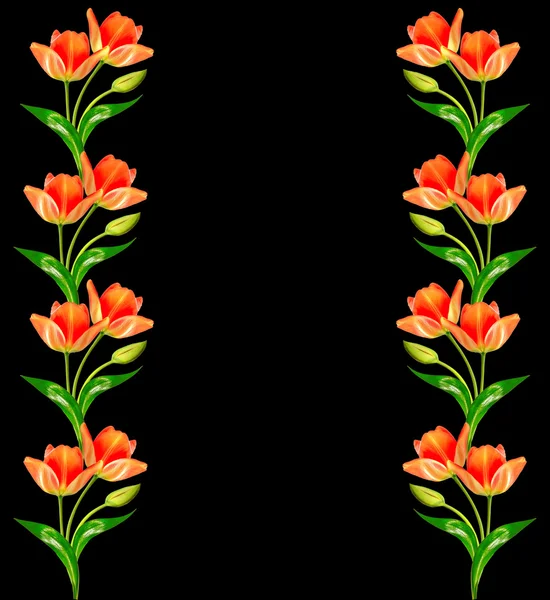 Våren blommor tulpaner isolerade på svart bakgrund. — Stockfoto