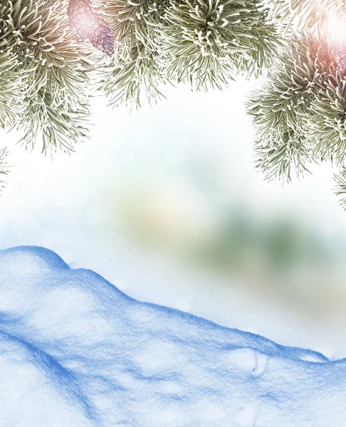 冬季景观。冰雪覆盖的树木。圣诞节背景 — 图库照片